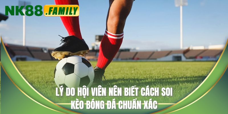 Lý do hội viên nên biết cách soi kèo bóng đá chuẩn xác